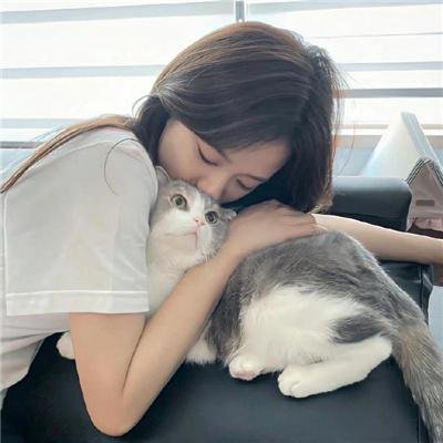 美国来的莫里斯