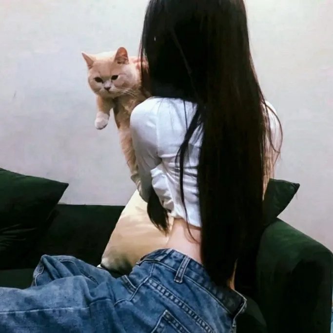 神圣之夜:恶魔猎人